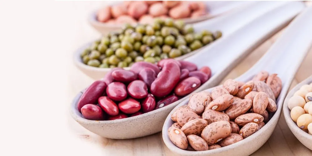 Beans