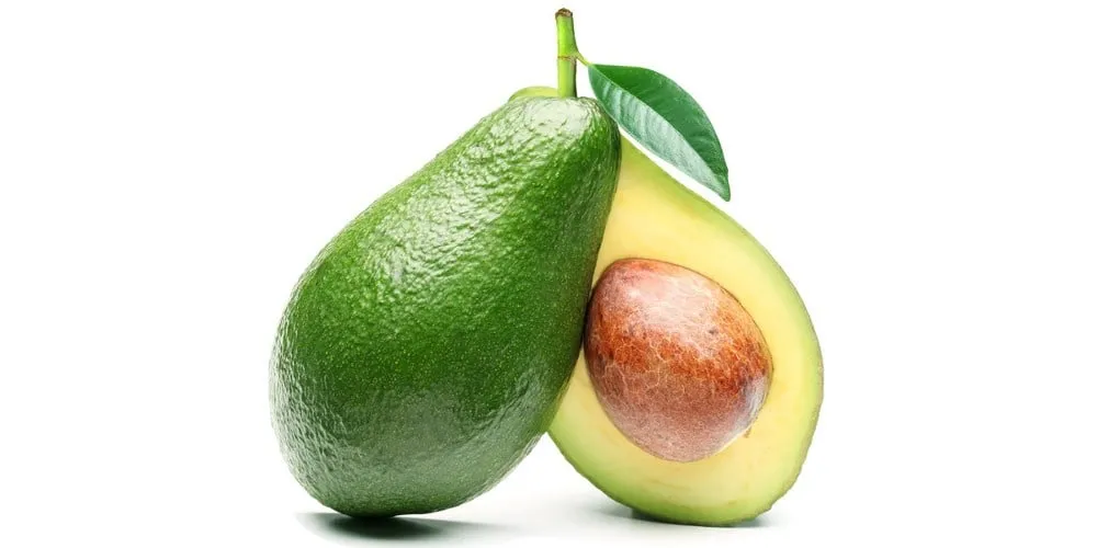 Avocado