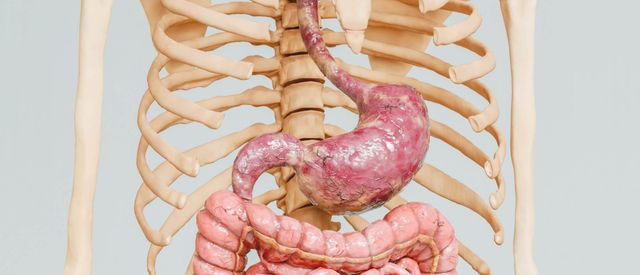 Gut Health nutrition counseling